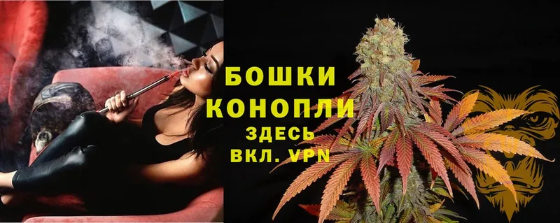 Конопля Ganja  Минеральные Воды 